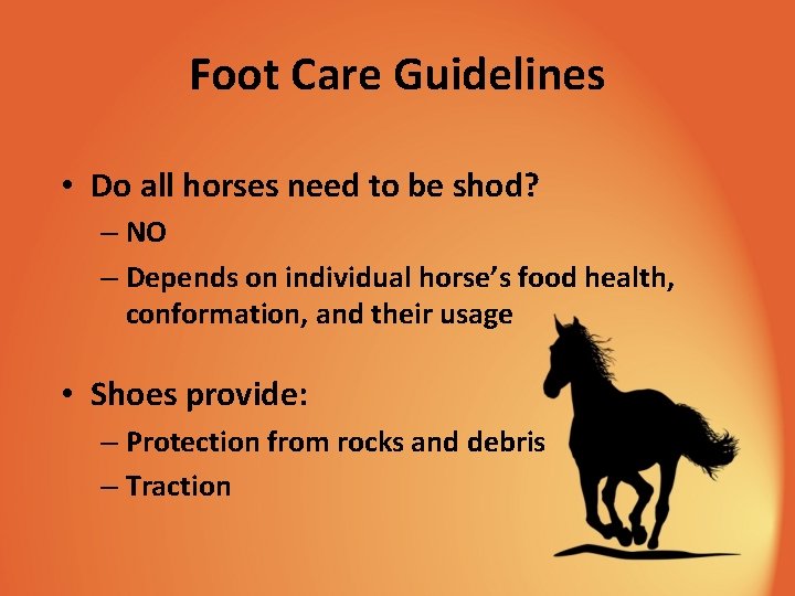 Foot Care Guidelines • Do all horses need to be shod? – NO –