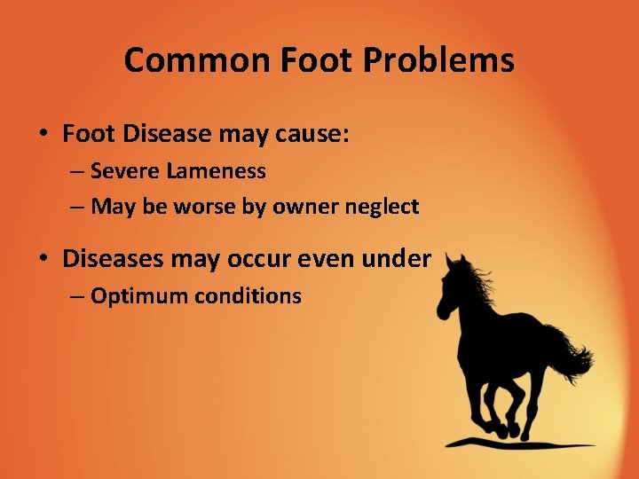 Common Foot Problems • Foot Disease may cause: – Severe Lameness – May be
