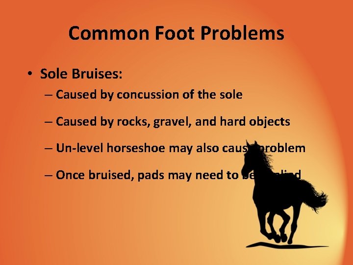 Common Foot Problems • Sole Bruises: – Caused by concussion of the sole –