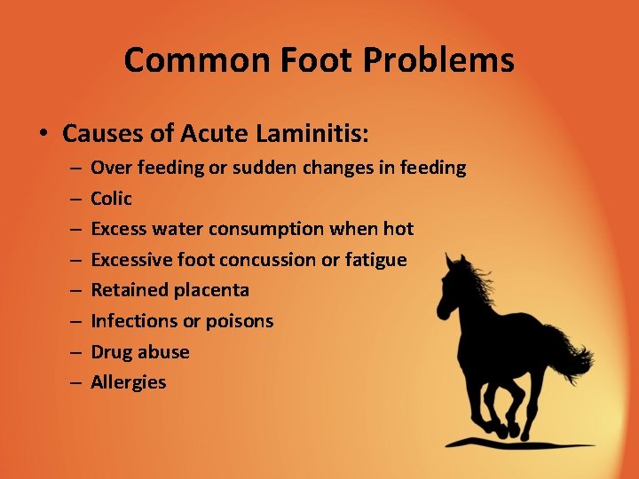 Common Foot Problems • Causes of Acute Laminitis: – – – – Over feeding