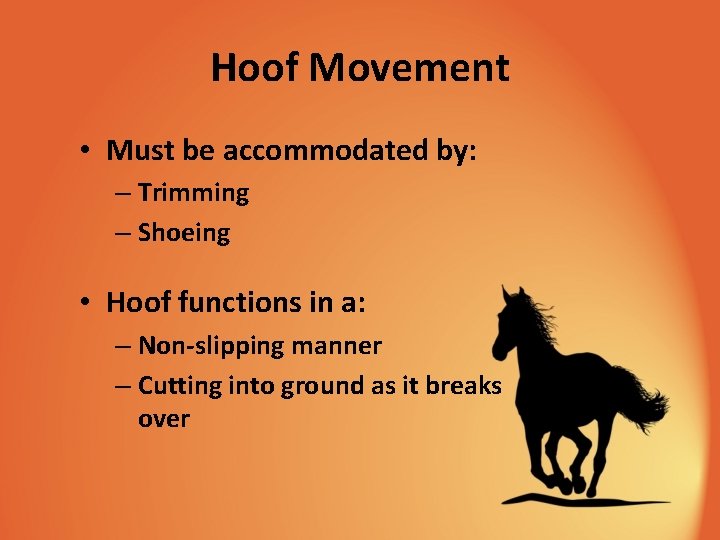 Hoof Movement • Must be accommodated by: – Trimming – Shoeing • Hoof functions