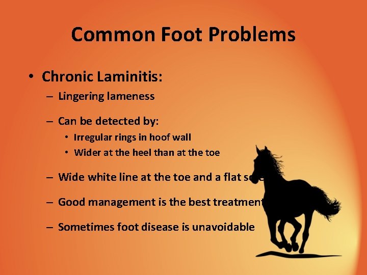 Common Foot Problems • Chronic Laminitis: – Lingering lameness – Can be detected by: