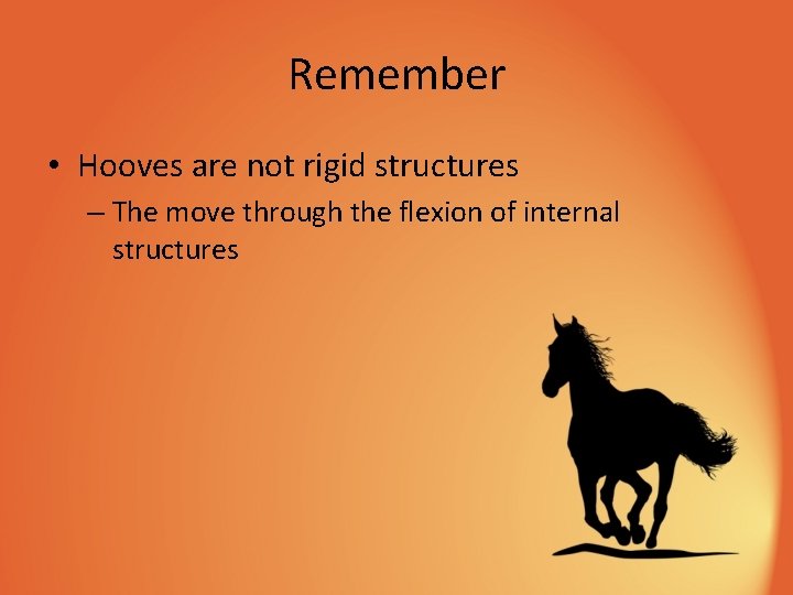 Remember • Hooves are not rigid structures – The move through the flexion of