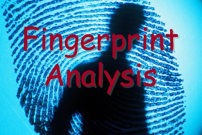 Fingerprint Analysis 