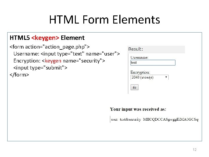 HTML Form Elements HTML 5 <keygen> Element <form action="action_page. php"> Username: <input type="text" name="user">