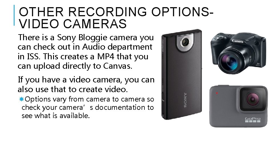 OTHER RECORDING OPTIONSVIDEO CAMERAS There is a Sony Bloggie camera you can check out