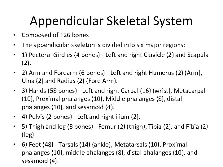 Appendicular Skeletal System • Composed of 126 bones • The appendicular skeleton is divided