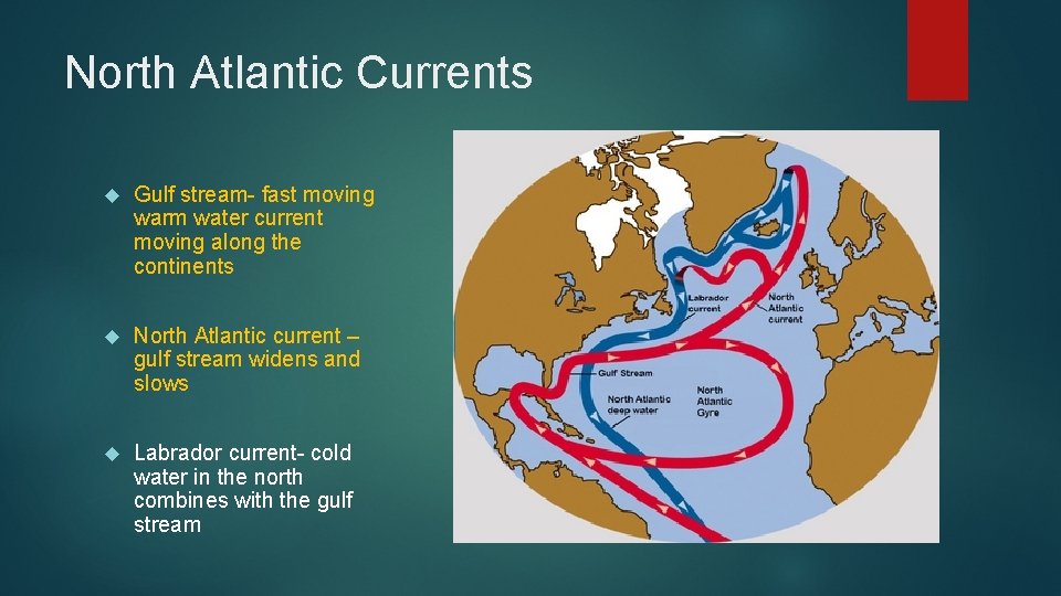 North Atlantic Currents Gulf stream- fast moving warm water current moving along the continents