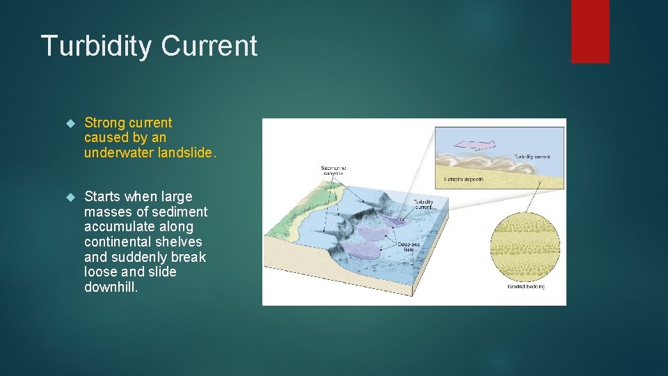 Turbidity Current Strong current caused by an underwater landslide. Starts when large masses of