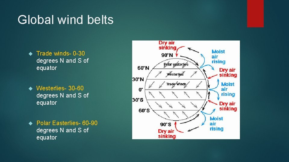 Global wind belts Trade winds- 0 -30 degrees N and S of equator Westerlies-