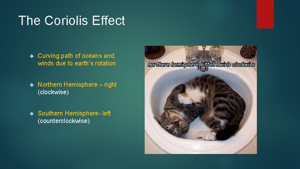 The Coriolis Effect Curving path of oceans and winds due to earth’s rotation Northern
