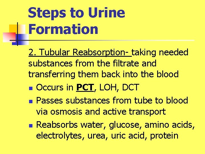 Steps to Urine Formation 2. Tubular Reabsorption- taking needed substances from the filtrate and