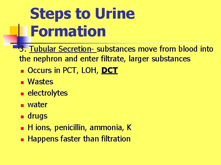 Steps to Urine Formation 3. Tubular Secretion- substances move from blood into the nephron