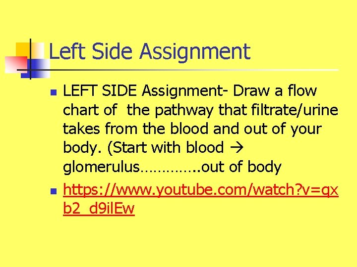 Left Side Assignment n n LEFT SIDE Assignment- Draw a flow chart of the