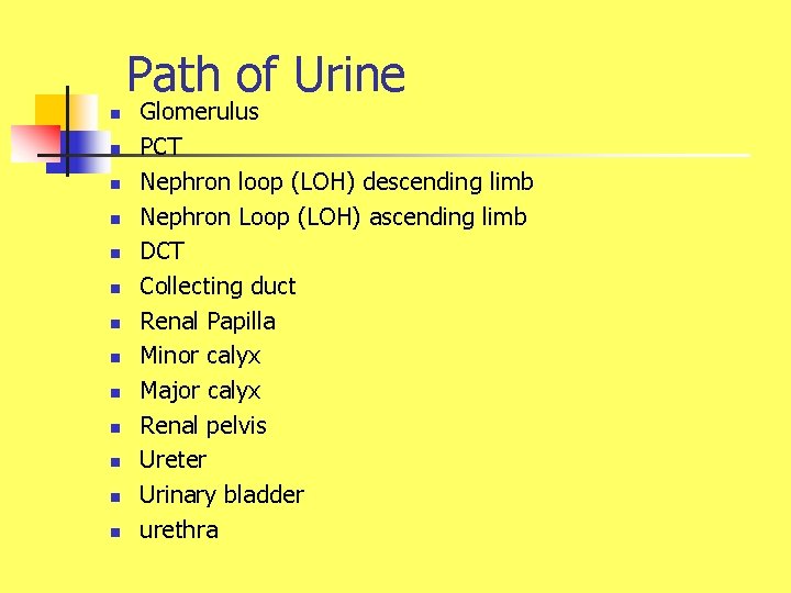 Path of Urine n n n n Glomerulus PCT Nephron loop (LOH) descending limb