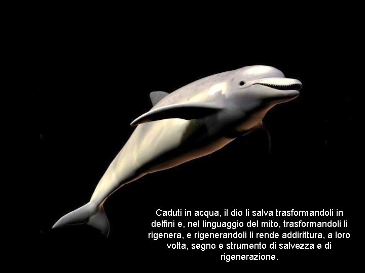 Caduti in acqua, il dio li salva trasformandoli in delfini e, nel linguaggio del