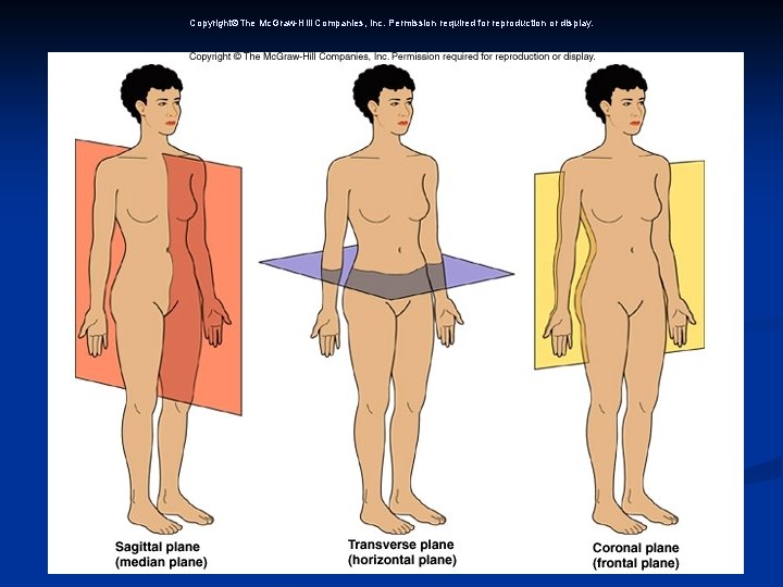 Copyright The Mc. Graw-Hill Companies, Inc. Permission required for reproduction or display. Copyright The Mc. Graw-Hill Companies, Inc. Permission required for reproduction or display.