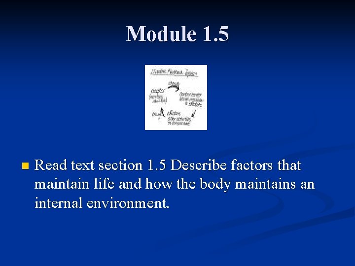 Module 1. 5 n Read text section 1. 5 Describe factors that maintain life Module 1. 5 n Read text section 1. 5 Describe factors that maintain life