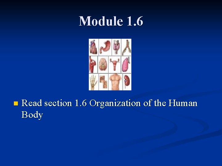 Module 1. 6 n Read section 1. 6 Organization of the Human Body Module 1. 6 n Read section 1. 6 Organization of the Human Body