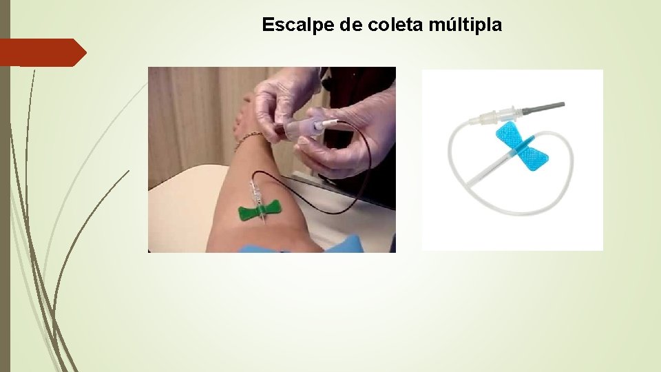 Escalpe de coleta múltipla 