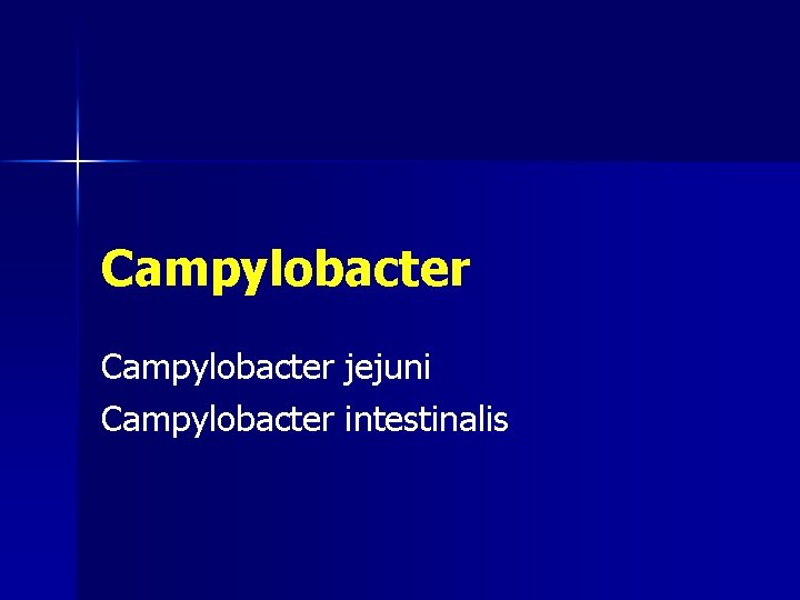 Campylobacter jejuni Campylobacter intestinalis 