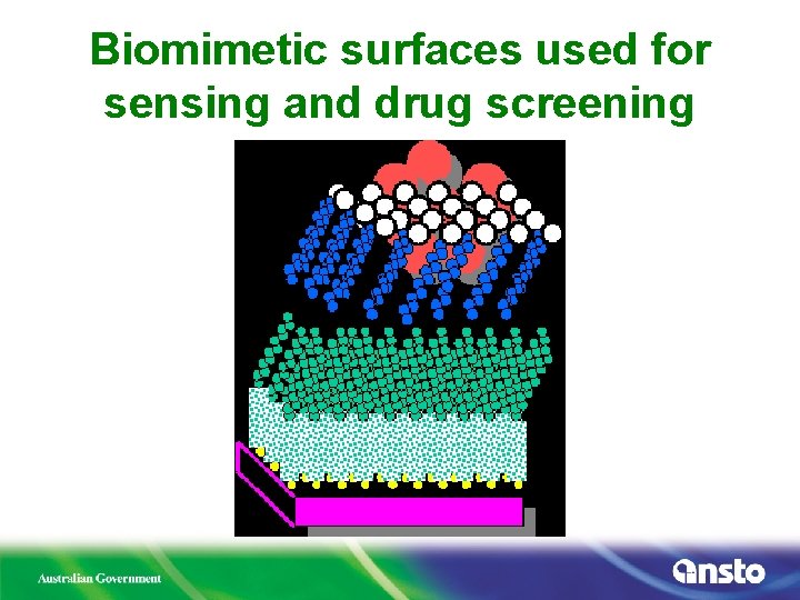 Biomimetic surfaces used for sensing and drug screening 