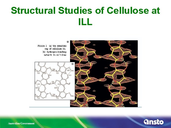 Structural Studies of Cellulose at ILL 