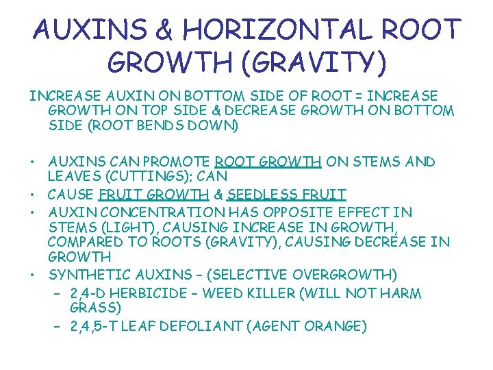 AUXINS & HORIZONTAL ROOT GROWTH (GRAVITY) INCREASE AUXIN ON BOTTOM SIDE OF ROOT =