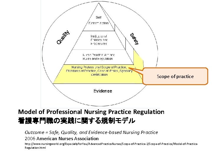 Scope of practice Model of Professional Nursing Practice Regulation 看護専門職の実践に関する規制モデル Outcome = Safe, Quality,