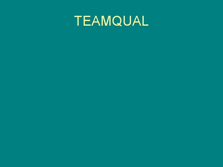 TEAMQUAL 