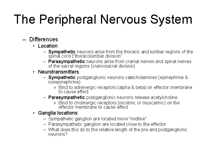 The Peripheral Nervous System – Differences • Location – Sympathetic neurons arise from the