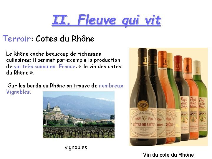 II. Fleuve qui vit Terroir: Cotes du Rhône Le Rhône cache beaucoup de richesses