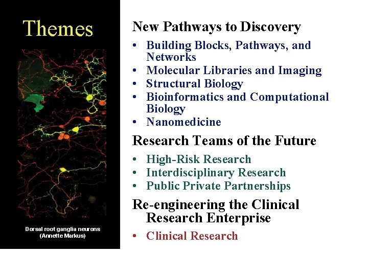 Themes New Pathways to Discovery • Building Blocks, Pathways, and Networks • Molecular Libraries