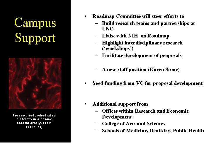 Campus Support • Roadmap Committee will steer efforts to – Build research teams and