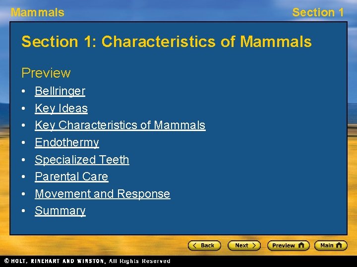 Mammals Section 1: Characteristics of Mammals Preview • • Bellringer Key Ideas Key Characteristics