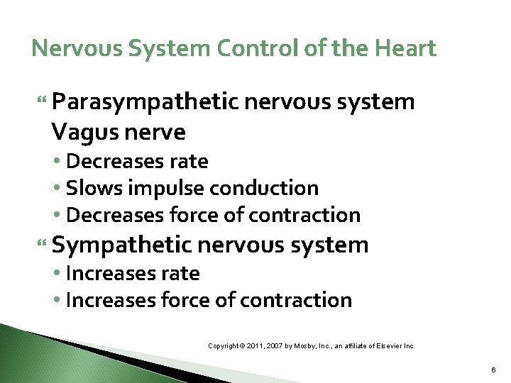 Nervous System Control of the Heart Parasympathetic nervous system Vagus nerve • Decreases rate