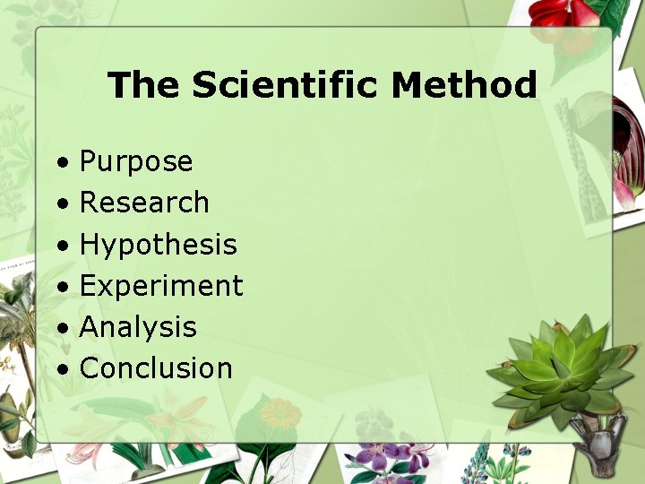 The Scientific Method • Purpose • Research • Hypothesis • Experiment • Analysis •