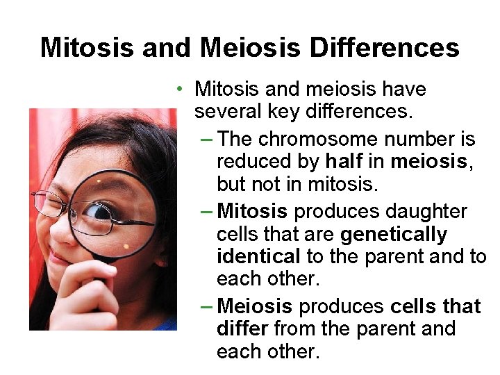 Mitosis and Meiosis Differences • Mitosis and meiosis have several key differences. – The