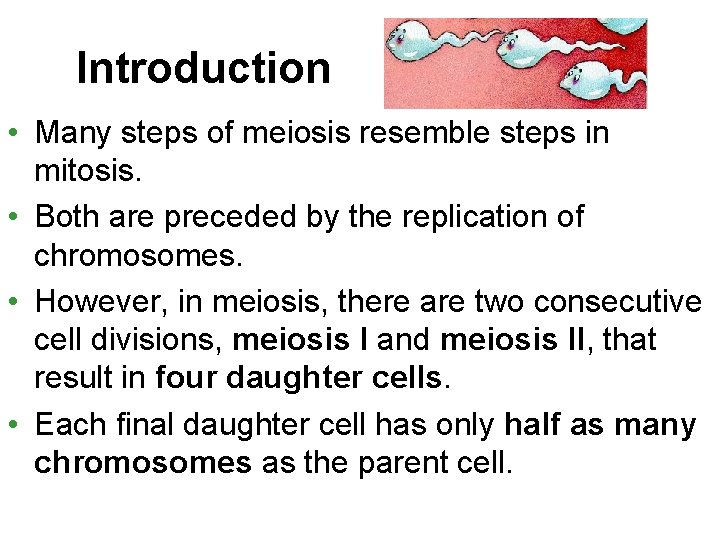 Introduction • Many steps of meiosis resemble steps in mitosis. • Both are preceded