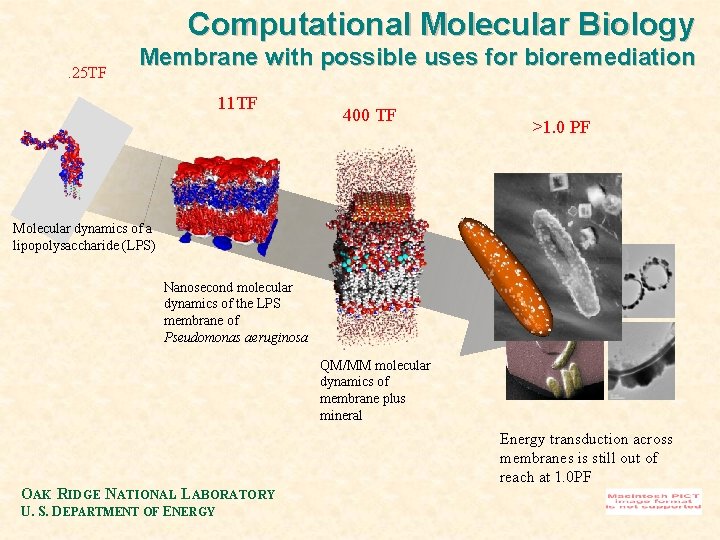 Computational Molecular Biology. 25 TF Membrane with possible uses for bioremediation 11 TF 400