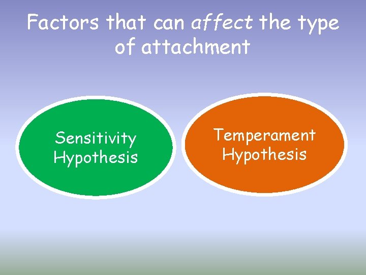 Factors that can affect the type of attachment Sensitivity Hypothesis Temperament Hypothesis 