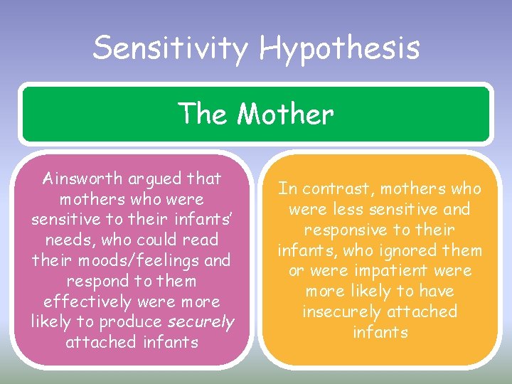 Sensitivity Hypothesis The Mother Ainsworth argued that mothers who were sensitive to their infants’