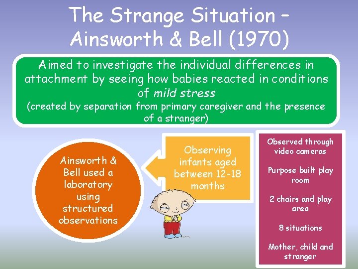 The Strange Situation – Ainsworth & Bell (1970) Aimed to investigate the individual differences