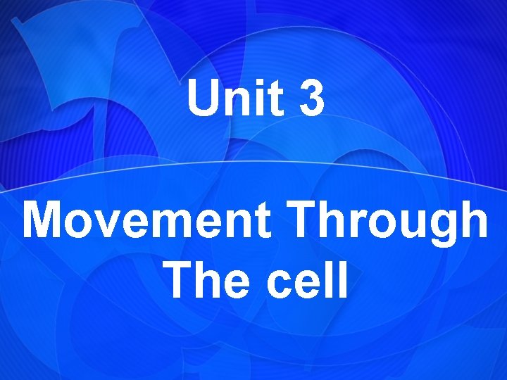 Unit 3 Movement Through The cell 