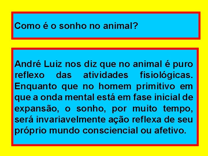 Como é o sonho no animal? André Luiz nos diz que no animal é