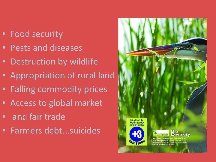  • • Food security Pests and diseases Destruction by wildlife Appropriation of rural