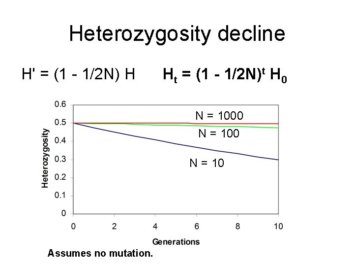 Heterozygosity decline H' = (1 - 1/2 N) H Ht = (1 - 1/2