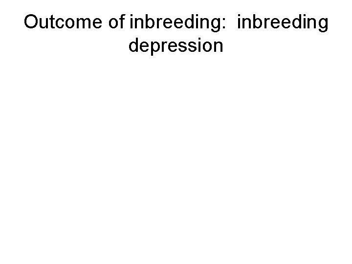 Outcome of inbreeding: inbreeding depression 