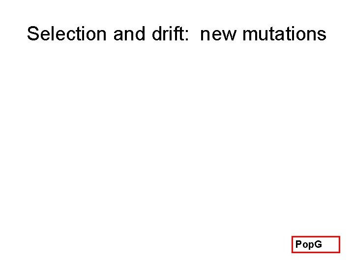 Selection and drift: new mutations Pop. G 