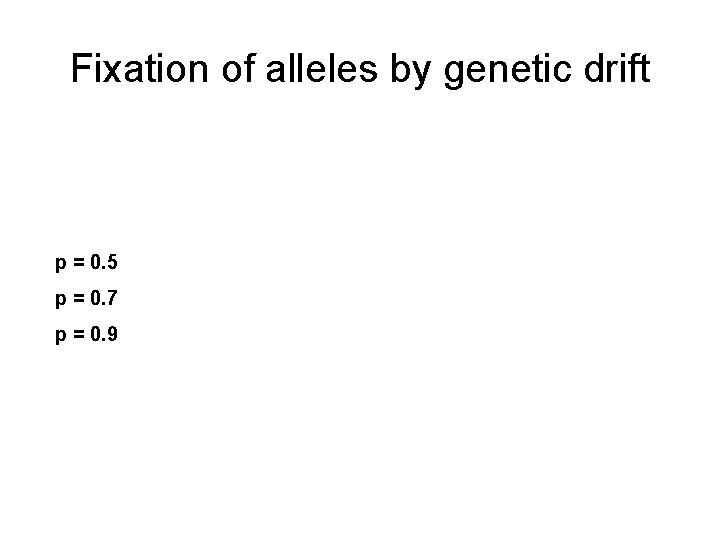 Fixation of alleles by genetic drift p = 0. 5 p = 0. 7